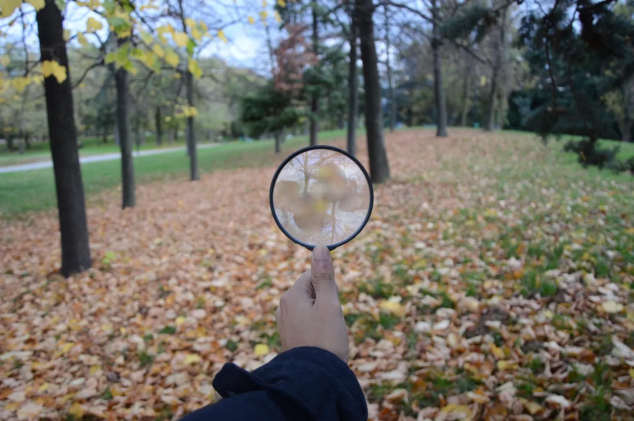 A hand holding a magnifying glass over a leaf on the ground
