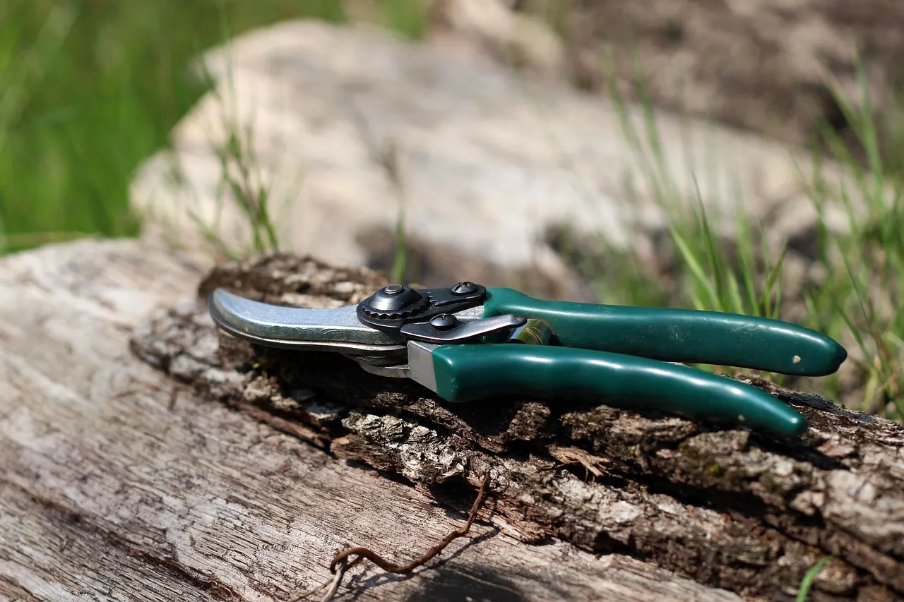A pair of garden pruning shears resting on a weathered log