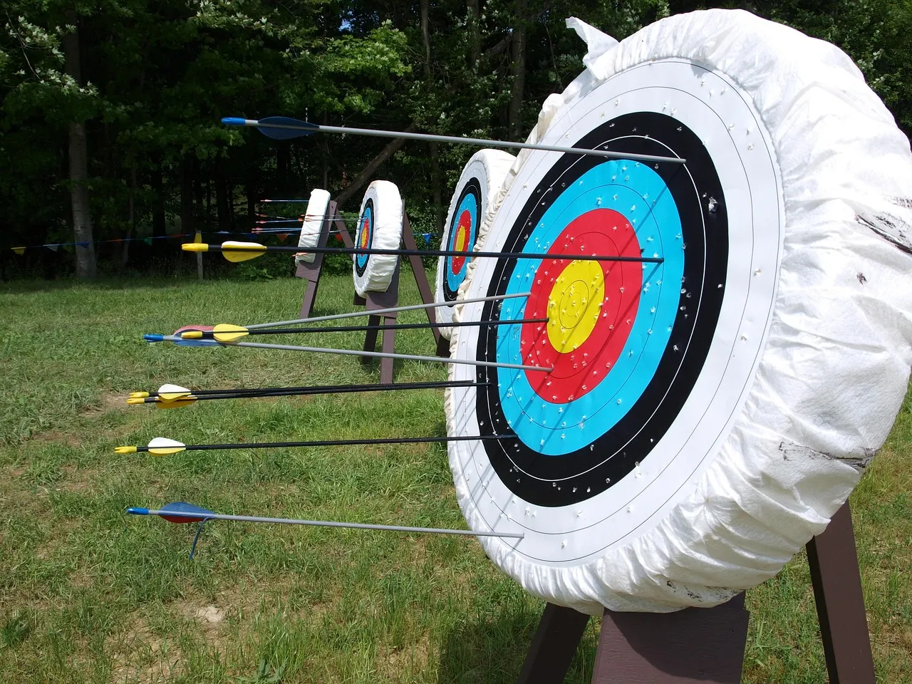A row of archery targets on a lawn with arrows standing in the grass