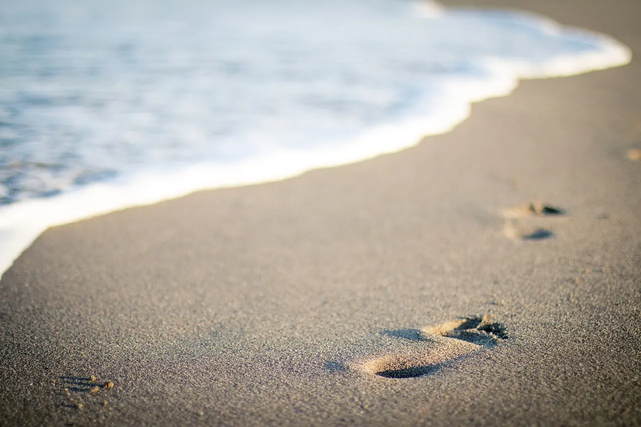 A single bare footprint pressed into wet sand at the edge of the water
