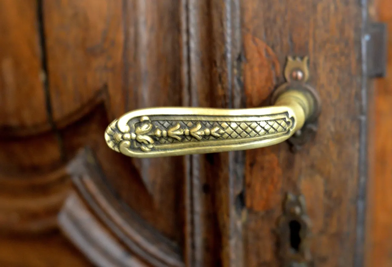 A brass lever handle on a warm wooden door, photographed close