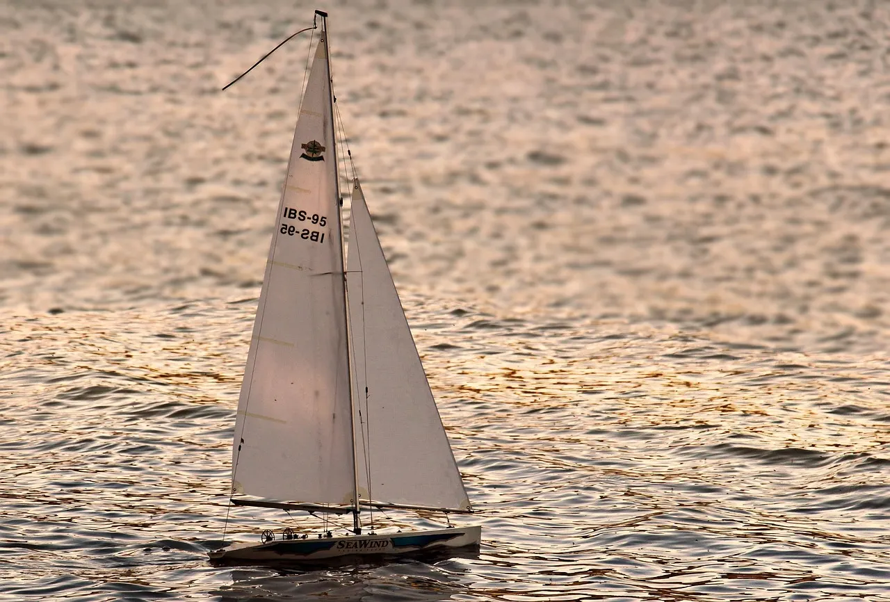 A sailing boat on open water with its number marked on the sail